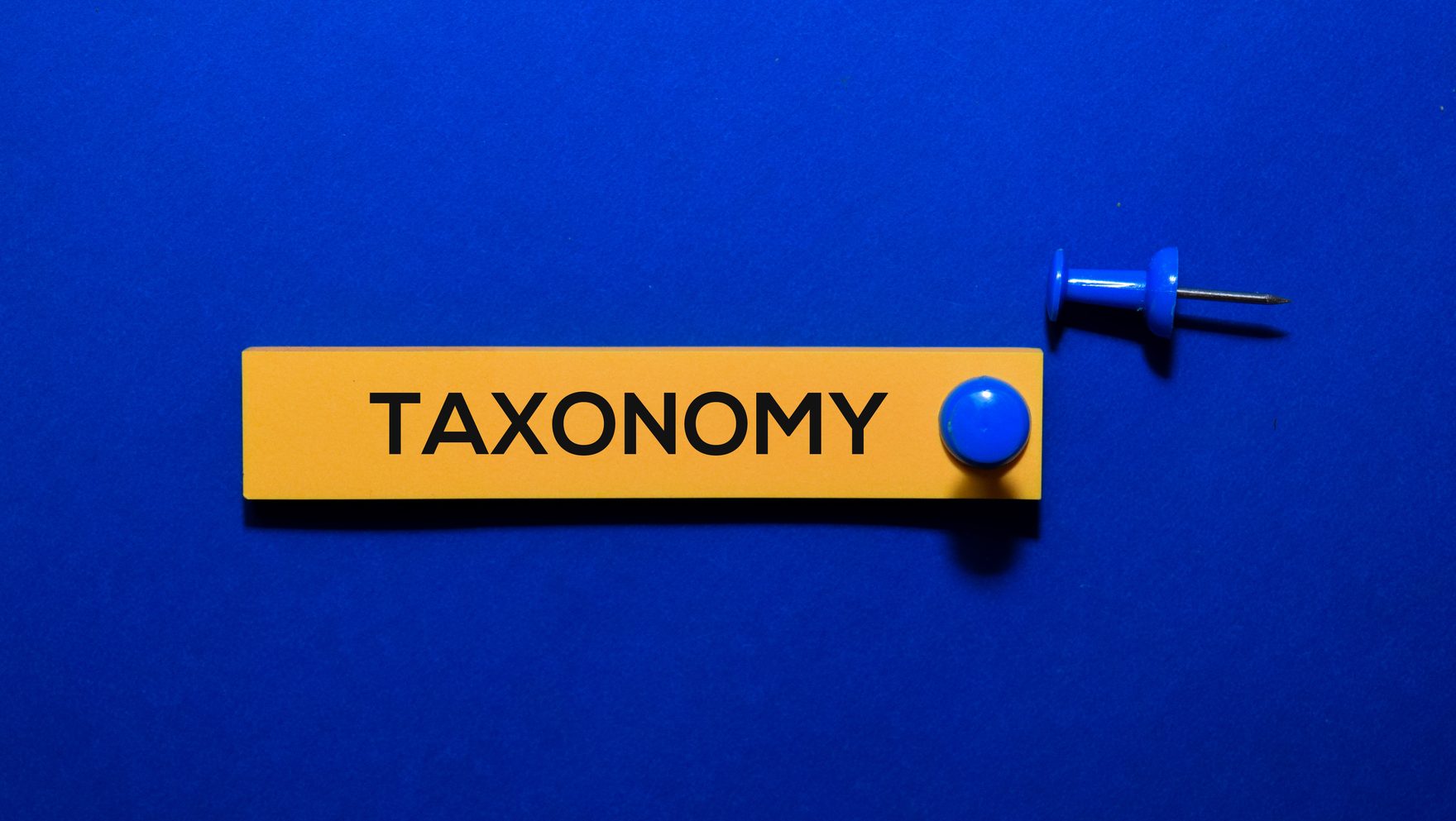 Estudo aprimora estrutura da Taxonomia Foster (Et al. #269)