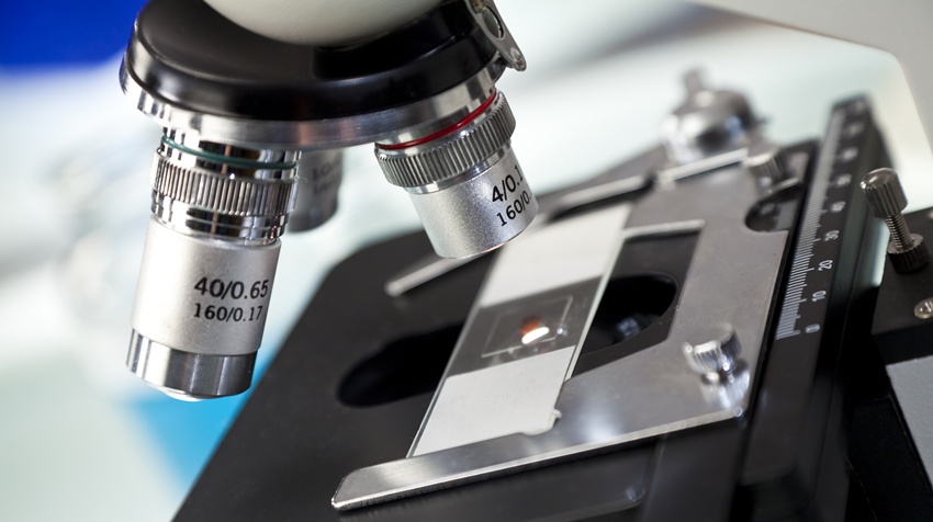 Pesquisadores propõem novas diretrizes para publicação de imagens obtidas por microscopia óptica (Et al. #272)