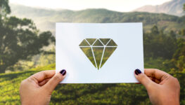 Ascensão do modelo Diamond Open Access e os desafios da sustentabilidade editorial — Et al. #375
